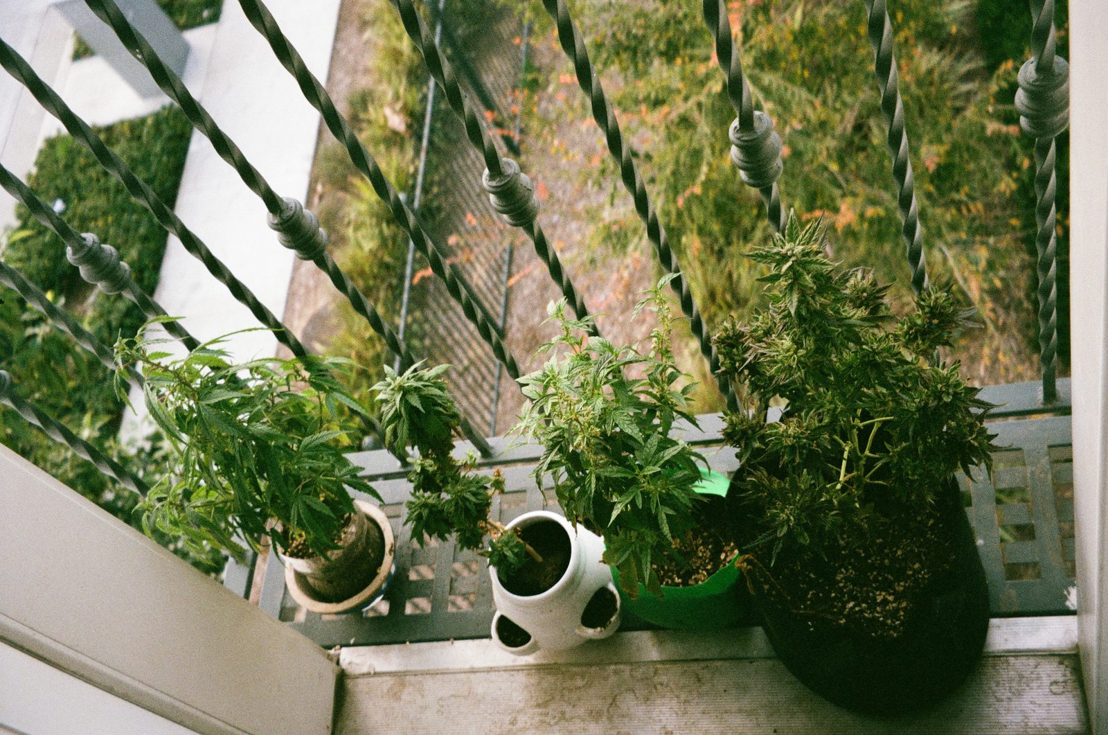 The archive — 5 of 32