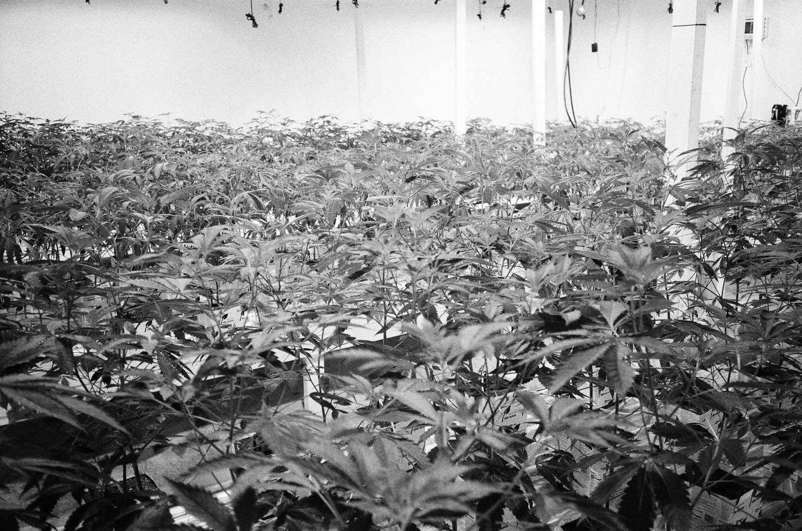 The archive — 6 of 32