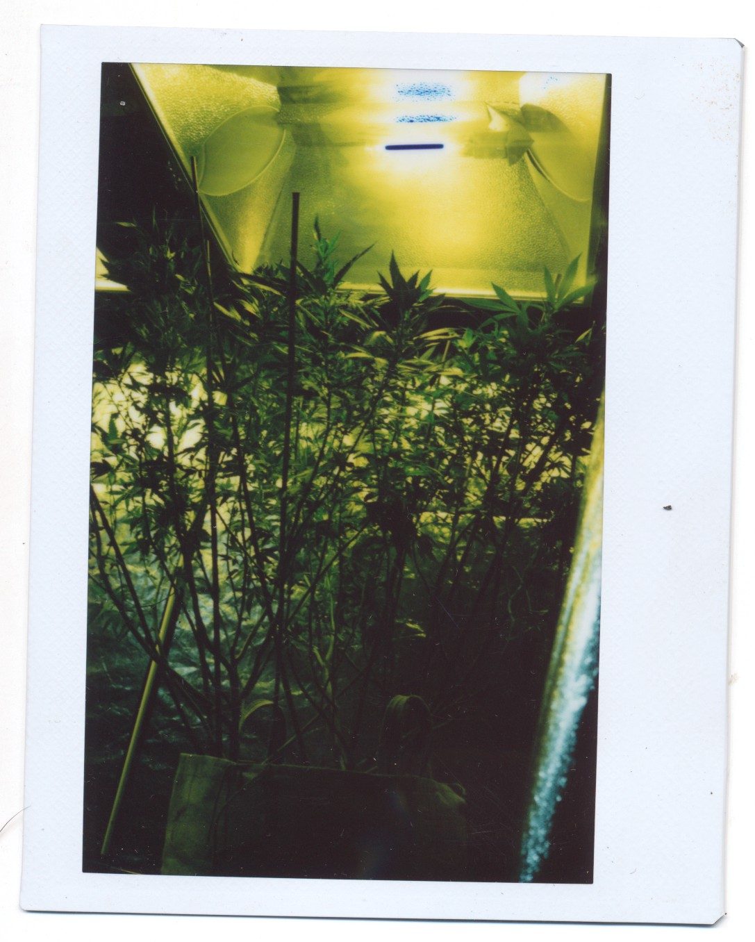The archive — 7 of 32
