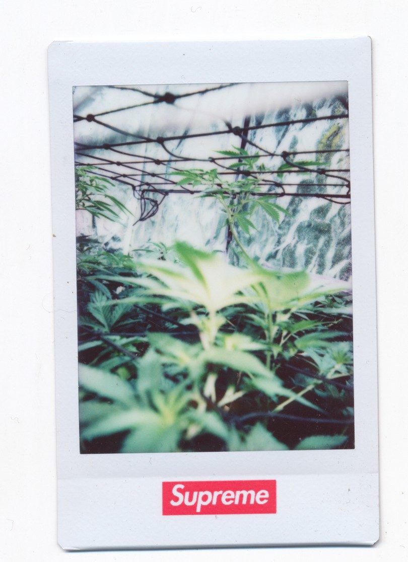 The archive — 8 of 32