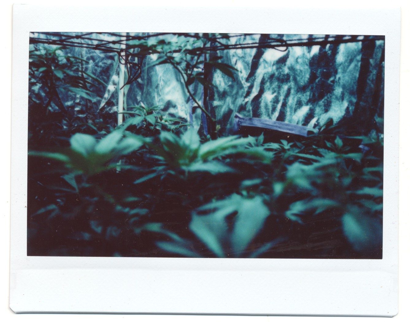 The archive — 9 of 32