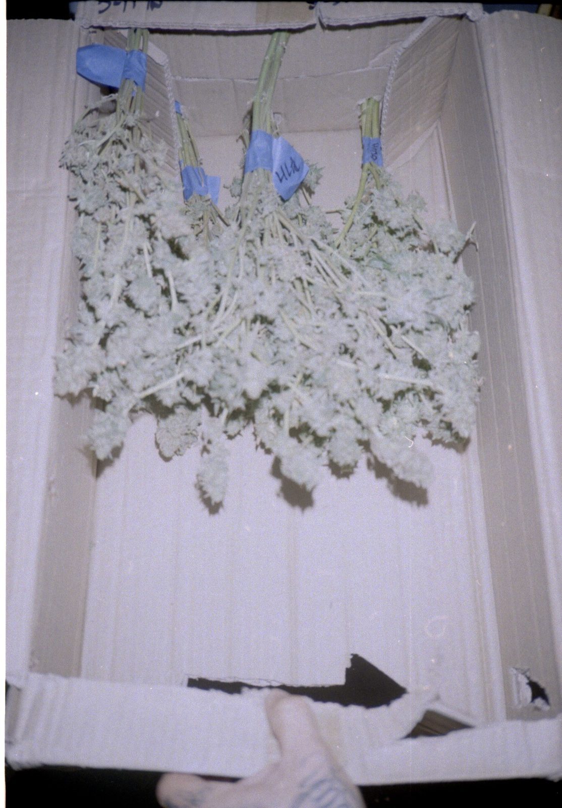 The archive — 11 of 32