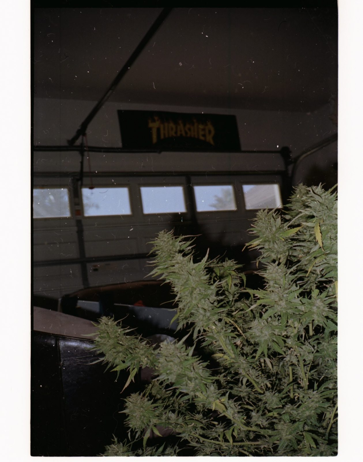 The archive — 24 of 32